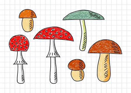 Drawings of mushrooms on squared paper      のイラスト素材