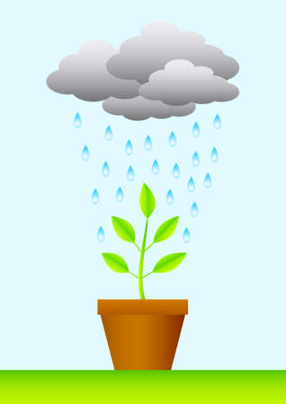 Green plant in brown pot                          のイラスト素材