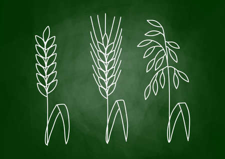 Drawing of cereals on blackboardのイラスト素材