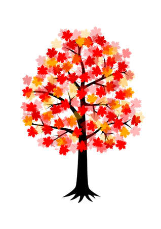 Autumn tree のイラスト素材