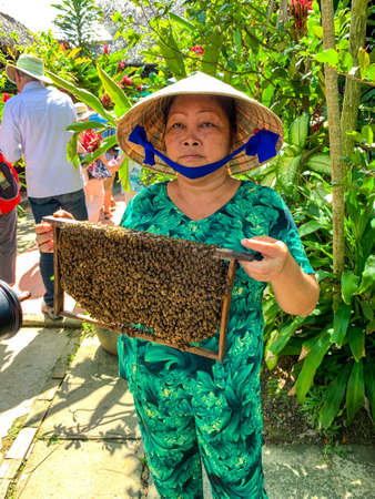 A woman holds rack with live bees making honey in Vietnamのeditorial素材