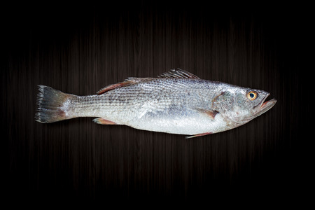 Fresh raw fish on dark backgroundの写真素材