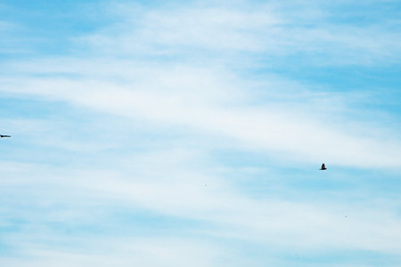 Blue sky background with beautiful cloudsの写真素材