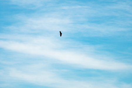 Blue sky background with beautiful cloudsの写真素材