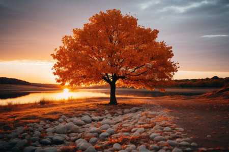 Autumn's Whispers: Tree of Life Represented by a Mesmerizing Autumn Tree. Generative AIの素材