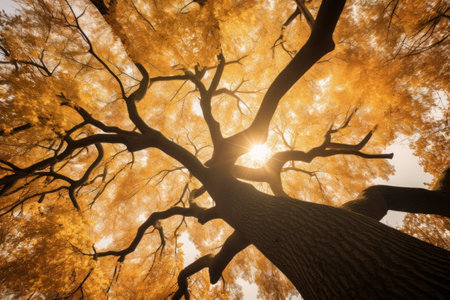 Autumn's Whispers: Tree of Life Represented by a Mesmerizing Autumn Tree. Generative AIの素材