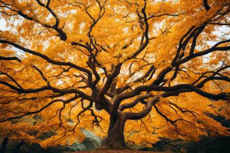 Autumn's Whispers: Tree of Life Represented by a Mesmerizing Autumn Tree. Generative AIの素材