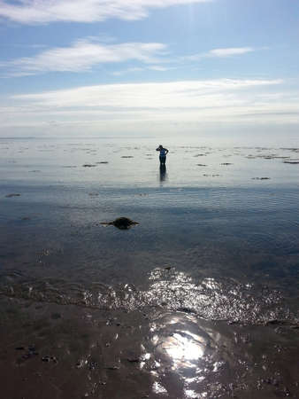 Woman in the seaの写真素材