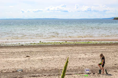 Orkney beach in Summerの写真素材