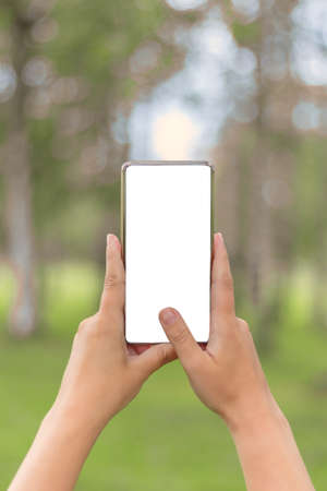 Mobile phone with white screen in female hands. Take a landscape photo using smartphone. Vertical. Blurred background.の写真素材