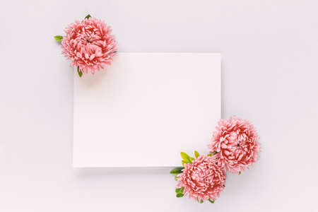 Creative layout with soft pink aster flowers. Copy space on white paper card. Flat lay.の写真素材