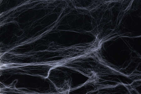 Halloween concept. White fake white wool spiderweb on black background as option for table or photo...