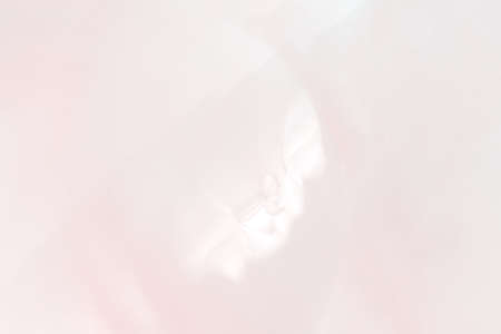 Abstract soft shiny layer or rose nacre. Amazing mauve mother of pearl background. Abalone...