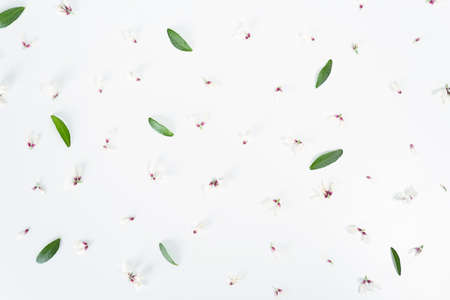 Top view photo of amazing gentle little white floral buds on gray background with pistachio leaves. Alternative botanical herbal medicine concept. Floral pattern. Open composition.の写真素材
