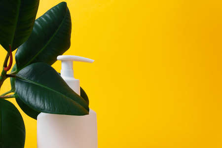 Mock-up for Protective lotion sunscreen. Skin and healthcare concept. Summer in tropical climate,...