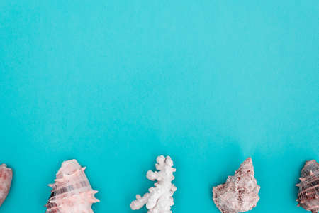 Summer vacation concept. Imitation of sea buttom world. Top view of different seashells on marine...