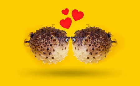Funny happy kissing day. Couple of fish on vivid yellow background with small red hearts from kiss....