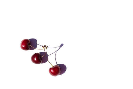 Three sweet cherries on white background. Copy space. Illustration of fake friendship. Cherries are connected only on shadow. In real life these are three separate berries. Hard strong shadows.の写真素材