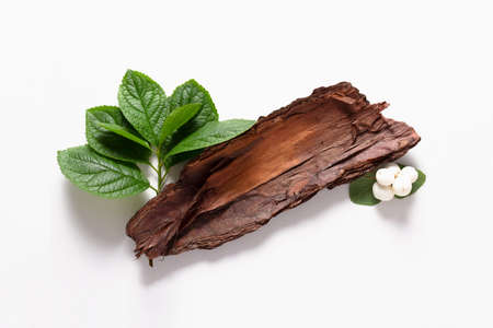 Eco composition on white background. Top view. Close-up eco friendly decoration and background for...