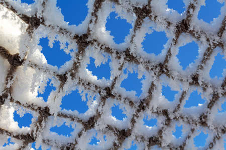 Net covered with snow against blue sky on clear winter day. Natures minimalism. Cose-up. Abstract nature background.の写真素材