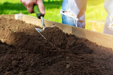 Small garden shovel in womans hand. Close-up. Summer or spring sunny day. Planting process.