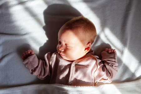 Newborn baby sleeping home in morning sunlights.の写真素材