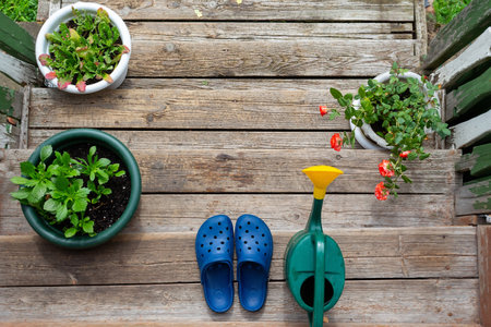 Rural scene. Rubber slippers, watering can, flowers.の写真素材