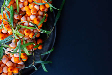 Top view of frozen sea buckthorn berries branch covered with hoarfrost on black background. Close up...