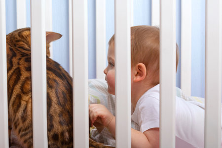 Caucasian adorable 1 year old baby boy playing with bengal cat in white wooden baby bed. Side view. Happy childhood with animals.の写真素材