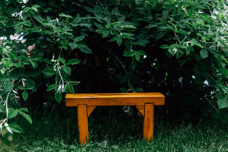 Orange wooden bench in bushes in garden. Handmade old baby bench. Place for reflection. The bench is...