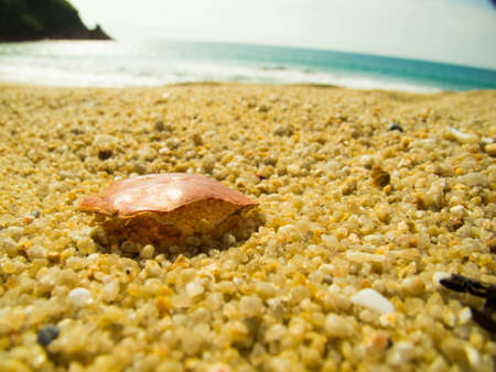 The Beachの写真素材