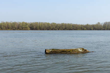 Wooden Log Floating On The River Water.の写真素材