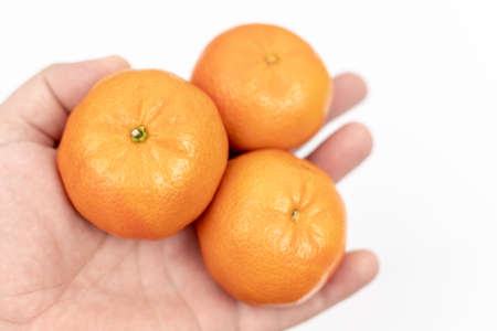 Tangerines In The Hand Above White Background.の写真素材