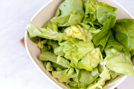 Fresh Green Lettuce isolated above white background.の写真素材