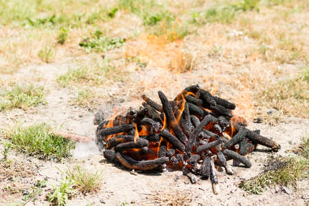 Burning fire in flames and embers preparing for barbecue on the grass land.