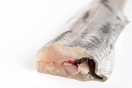 Fresh raw hake fish above white background with copy space.の写真素材