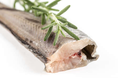 Fresh raw hake fish on the white background with rosemary.の写真素材