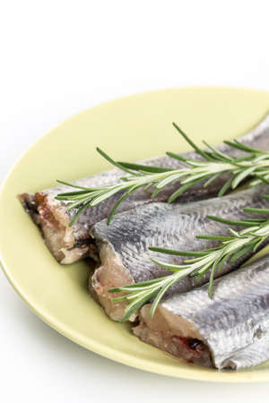 Slices of raw hake fish with rosemary branches on the plate.の写真素材