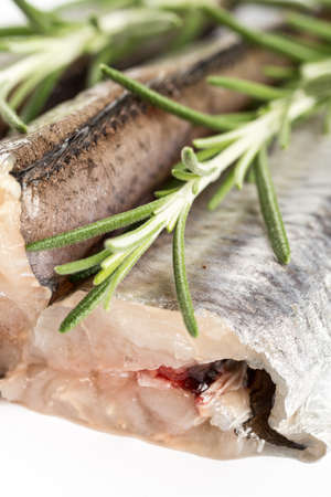Closeup macro of raw hake fish with rosemary branches.の写真素材