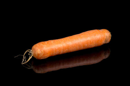 Whole carrot isolated above black background with reflections and copy space.の写真素材