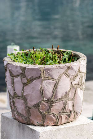 Concrete flowerpot on the sea beach.の写真素材