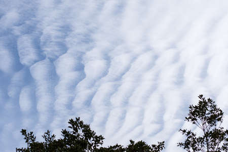 Sky with beautiful clouds and trees as background.