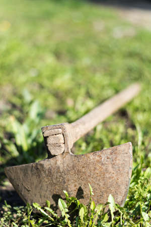 Old hoe on the grass and weeds.の写真素材