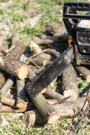 Chainsaw over fresh cutted firewood.