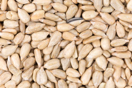 Sunflower seeds background macro photography.