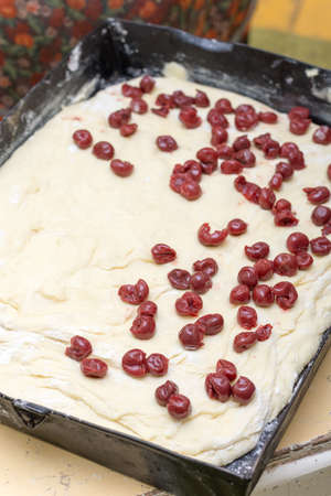 Cherries on the prepared dough ready for baking.の写真素材