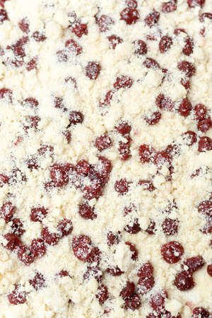 Cherries on the prepared dough ready for baking.の写真素材