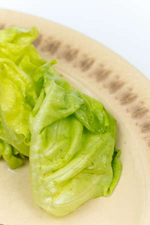 Macro shot lettuce green salad copy space.の写真素材