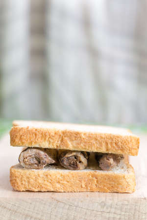 Side view marinated sardines toast sandwichの写真素材
