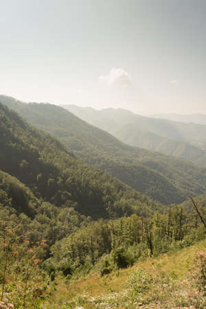 Hills in the background on the sunny day